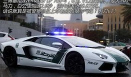 郑州警车爆料视频播放,郑州警车爆料视频引发热议