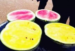 9.24最新大瓜爆料,娱乐圈惊天大瓜，真相令人震惊！