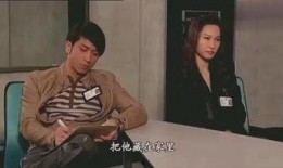 法政先锋2在线观看,正义与智慧的较量，揭秘法治风云！