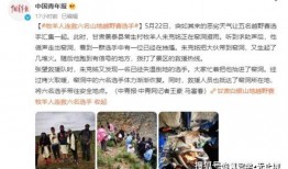 黄琴大叔爆料事件视频,揭秘事件背后真相