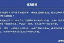谁爆料山东潍坊事件最新,揭秘背后真相，舆论漩涡中的真相追踪