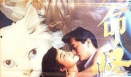 在线观看九命怪猫,探寻神秘生物的奇幻之旅