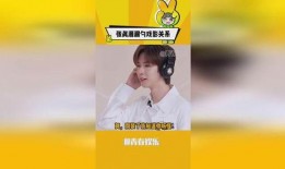 翔霖粉丝爆料视频大全,揭秘偶像幕后故事