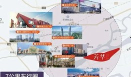 郑州大爆料小编是谁啊视频,揭秘背后神秘人物