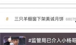 小杨哥直播间最新爆料,揭秘娱乐圈惊人内幕！