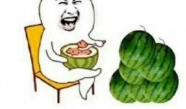 吃瓜娱乐铺,吃瓜娱乐铺带你探秘明星生活