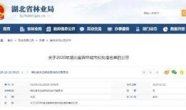 今日关注热线爆料邮箱,揭秘热线爆料邮箱背后的故事
