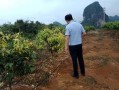 中源果农最新爆料,揭秘水果产业的秘密与挑战