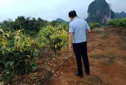 中源果农最新爆料,揭秘水果产业的秘密与挑战
