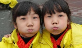双胞胎姐妹俩网红吃瓜,揭秘娱乐圈幕后真相