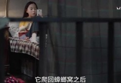 三姐被打爆料视频播放,网络曝光视频引发社会关注