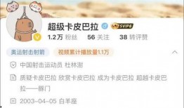 四姐网友爆料视频下载,揭秘热门事件幕后真相