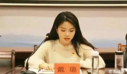 张宁娜事件爆料视频播放,真相究竟如何？