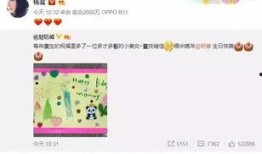 新年爆料娱乐圈,明星动向大揭秘，精彩瞬间抢先看