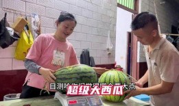 浏阳网红大瓜爆料事件视频,揭秘背后惊人真相