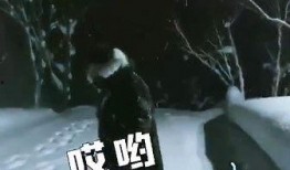 李易峰有网友爆料吗视频,# 李易峰被网友爆料视频引发热议