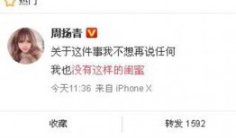 枞阳新闻爆料网最新消息,最新动态，揭秘枞阳热点事件！