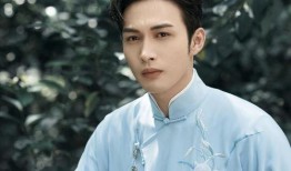 刘凯最新爆料视频大全,揭秘幕后真相与精彩瞬间