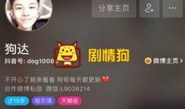 八卦圈爆料抖音视频,抖音热门视频背后的惊人真相