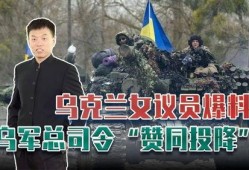 俄乌战争真实爆料视频,揭秘真实战地视频背后的真相