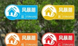 西安集市爆料视频最新消息,现场盛况及特色商品大揭秘