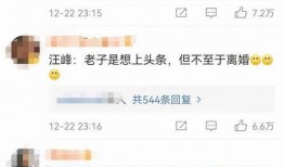刘一非爆料汪峰视频,背后真相引人猜测