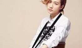 李宏毅哥哥爆料了吗视频,揭秘背后真相