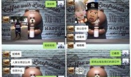 自由人小白爆料视频大全,揭秘幕后真相与精彩瞬间