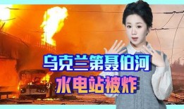 天涯爆料洪晃视频大全集,揭秘天涯爆料背后的真实故事