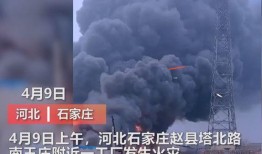粤东事件爆料视频大全最新,视频大全揭秘真相与内幕