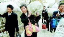 小老乡进城在线观看,见证农村青年奋斗与蜕变