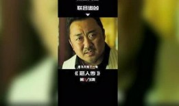 白黑追凶在线观看,探秘黑白两道，正义与邪恶的较量