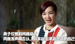 黄子佼视频爆料阿雅,视频爆料引发热议