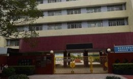 东方中学最新爆料消息,揭秘校园风云背后的故事
