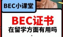 吃瓜大赛每日大赛爆料视频,每日爆料视频精彩回顾，揭秘娱乐圈幕后风云