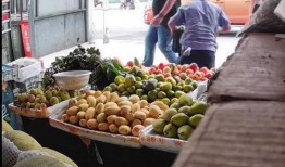 后营水果店爆料视频播放,视频揭秘水果新鲜度与选购技巧