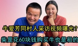 采访视频爆料,采访视频爆料背后的惊人真相