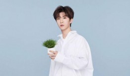 爆料陈星旭宋茜视频大全,甜蜜瞬间大盘点