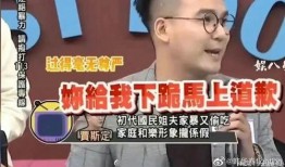 台媒爆料家暴案件视频,家庭悲剧引发社会关注