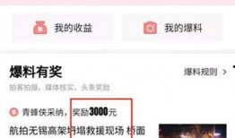 怎样可以爆料头条视频,如何轻松制作热门短视频