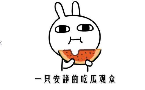 网上说吃瓜是什么意思,吃瓜背后的含义与趣味